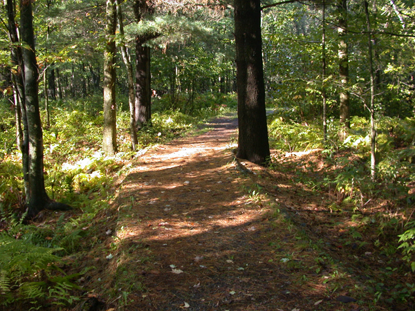 Sentier la Randonnée: Centre d'interprétation de la nature du lac Boivin