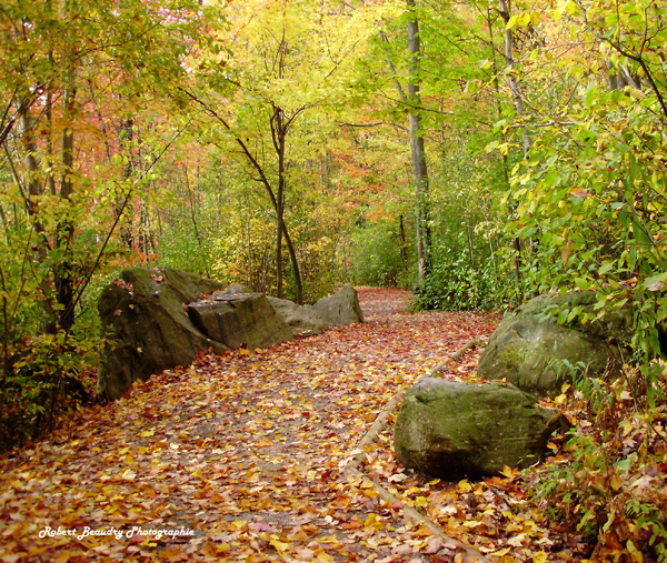 Trail - La Prucheraie: Centre d'interprétation de la nature du lac Boivin