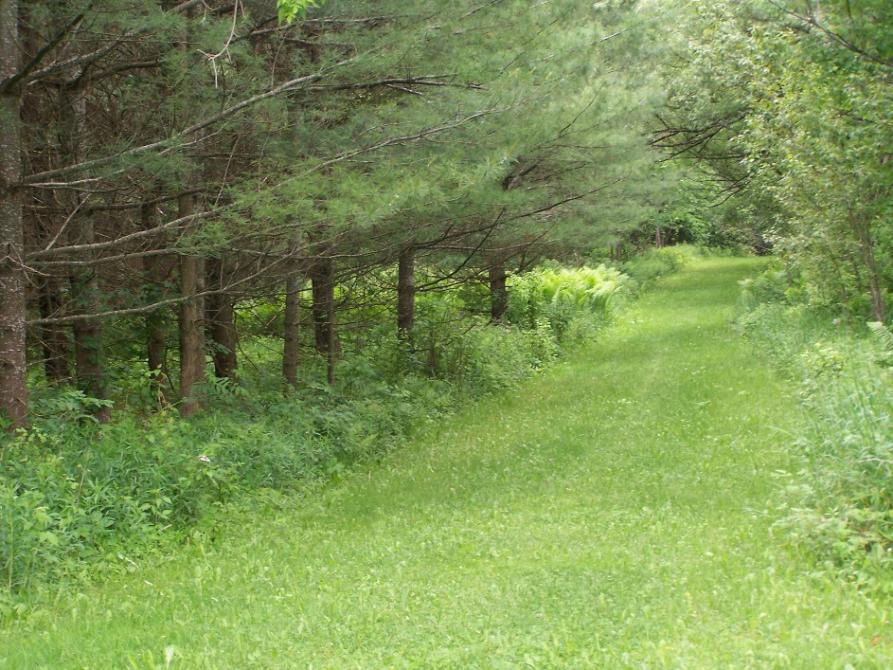 Sentier Onès Cloutier: Municipalité de Barnston-Ouest