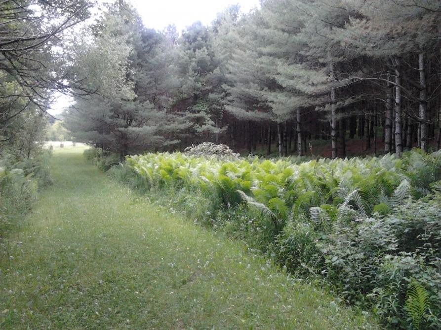 Sentier Onès Cloutier: Municipalité de Barnston-Ouest