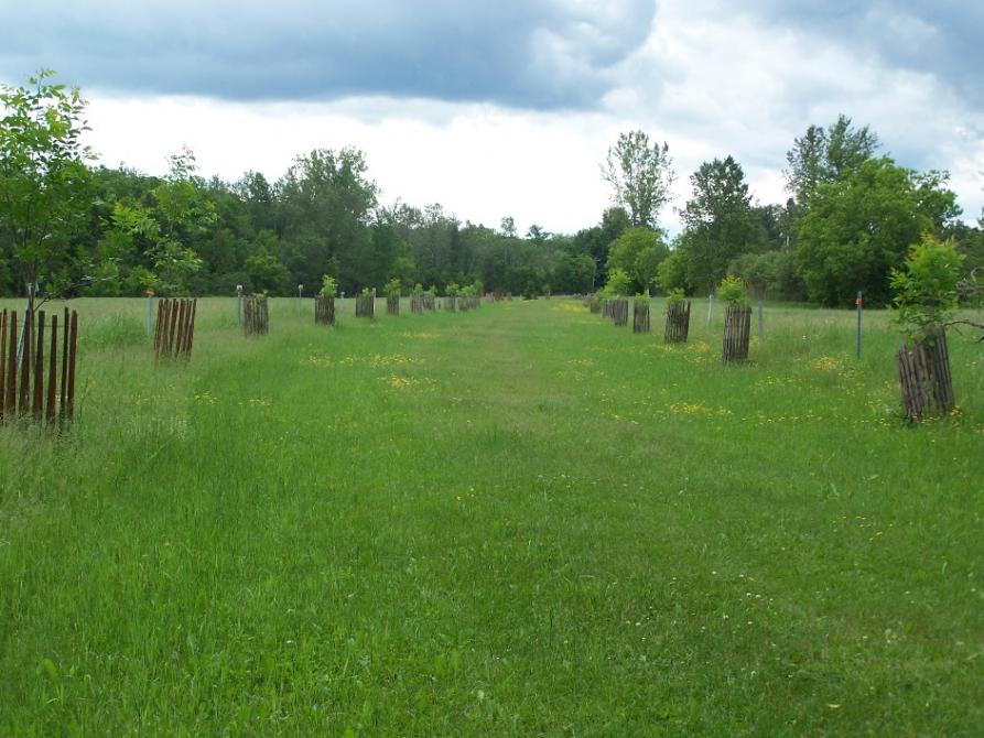 Sentier Onès Cloutier: Municipalité de Barnston-Ouest