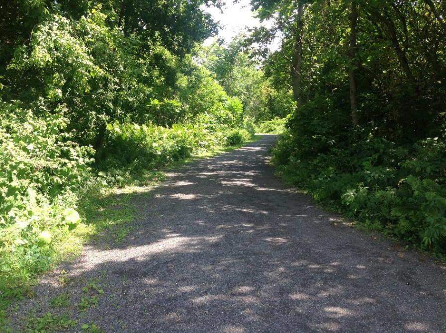 Axe Nord: Circuit Vélo-piétonnier Rivière aux pins