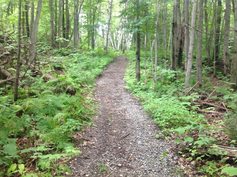 Sentier du parc: Municipalité de Sainte-Edwidge-de-Clifton