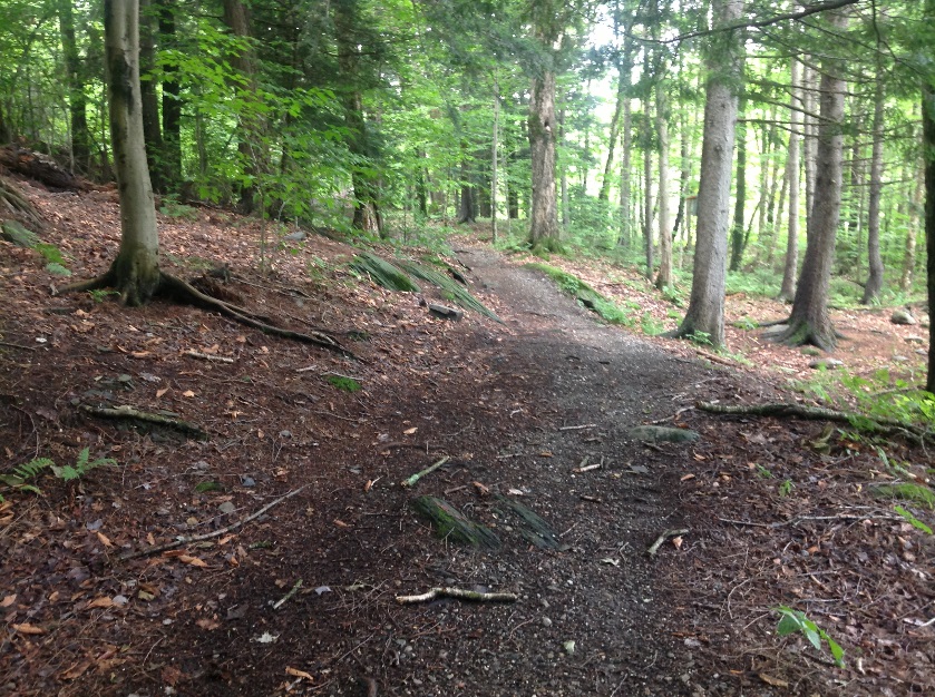 Sentier du parc: Municipalité de Sainte-Edwidge-de-Clifton