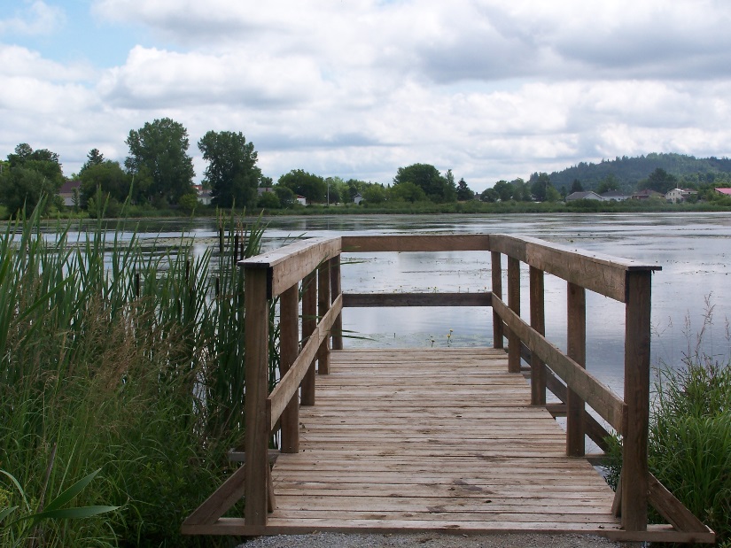 Sentier Magnola: Étang Burbank