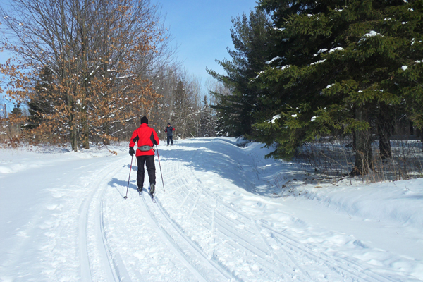 Cross-country skiers: Centre d'interprétation de la nature du lac Boivin