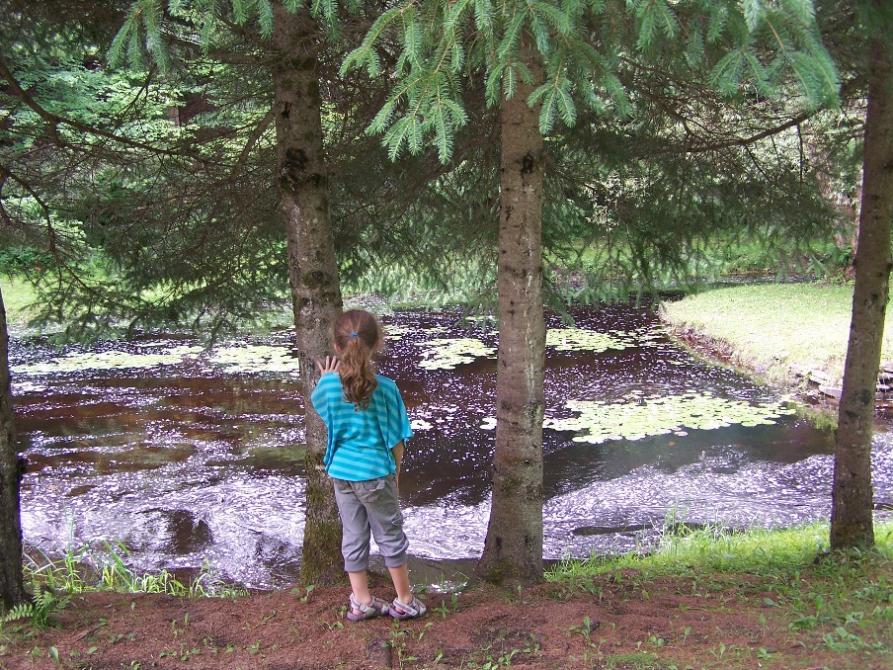 Sentiers du Parc du vieux moulin: Parc du vieux moulin