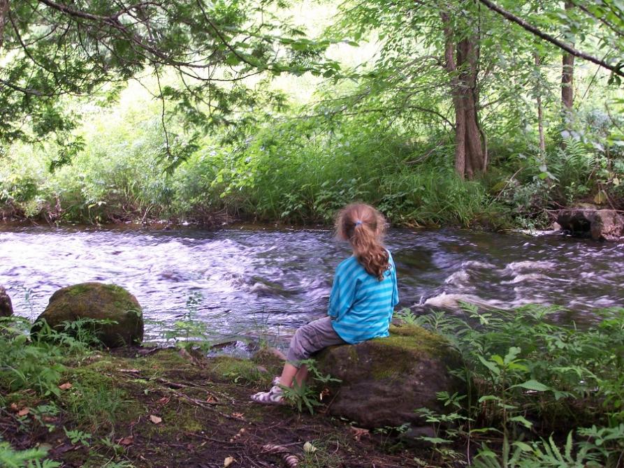 Sentiers du Parc du vieux moulin: Parc du vieux moulin