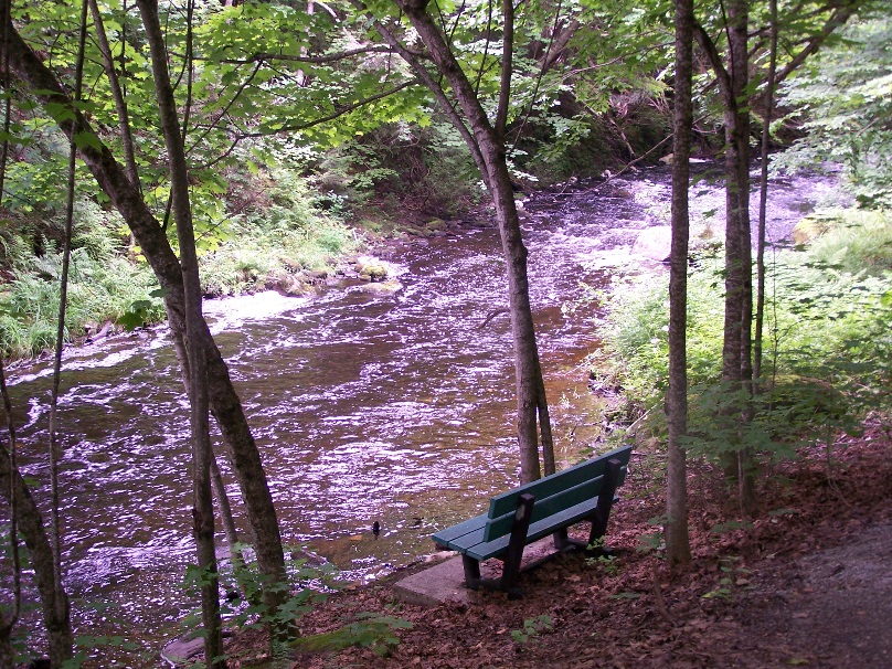 Sentiers du Parc du vieux moulin: Parc du vieux moulin