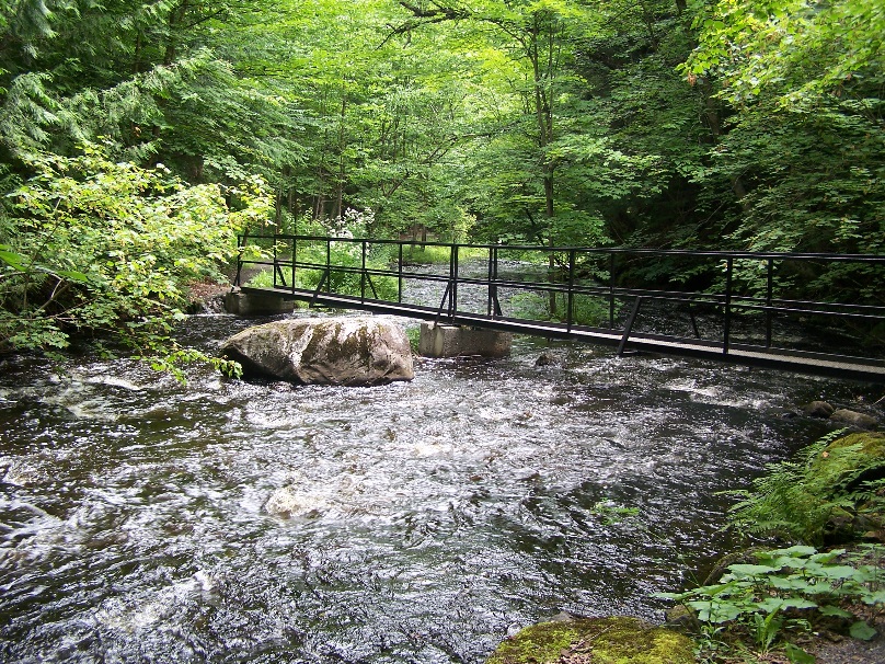 Sentiers du Parc du vieux moulin: Parc du vieux moulin