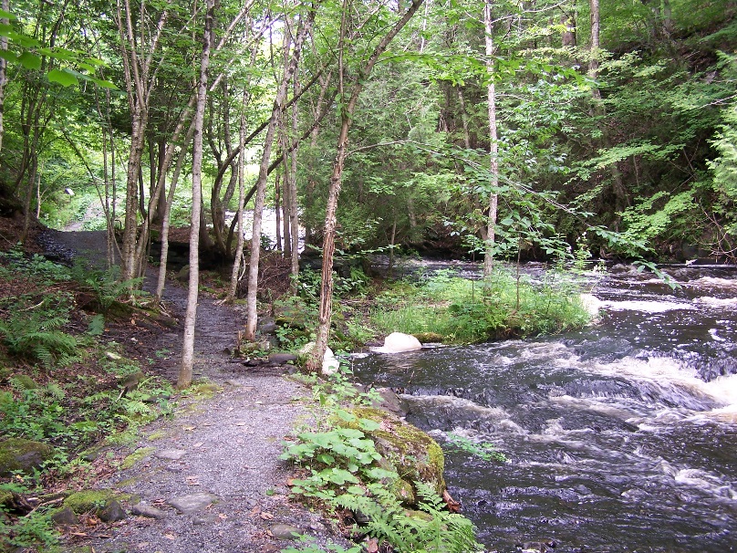 Sentiers du Parc du vieux moulin: Parc du vieux moulin