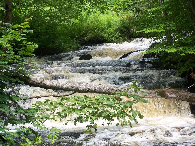 Sentiers du Parc du vieux moulin: Parc du vieux moulin