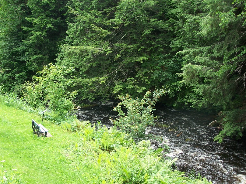 Sentiers du Parc du vieux moulin: Parc du vieux moulin