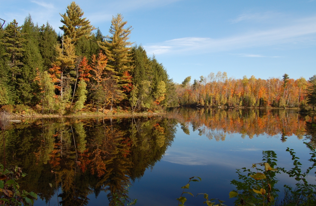 Marais Kingsbury: Les Sentiers de l'Estrie Inc.