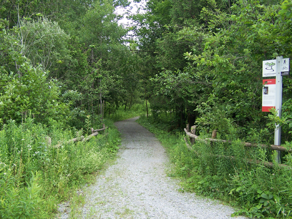 Forêt habitée de Dudswell: Forêt habitée de Dudswell