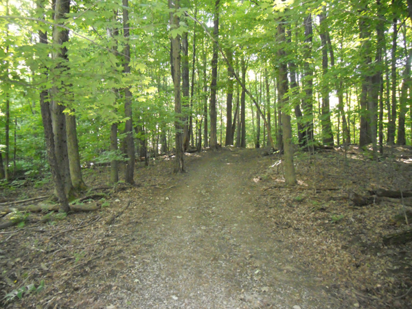 Parc du Bois-Beckett: Parc du Bois-Beckett