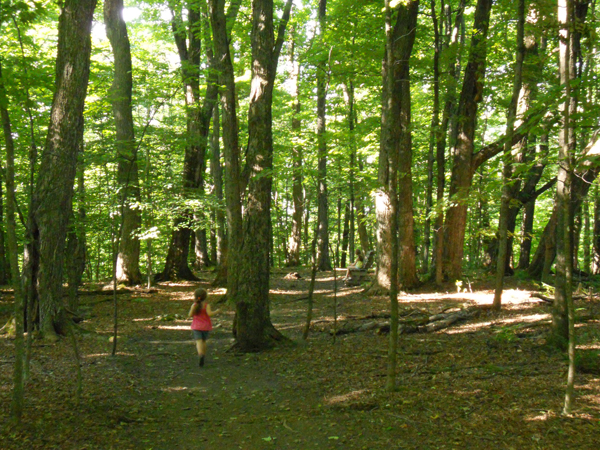 Parc du Bois-Beckett: Parc du Bois-Beckett