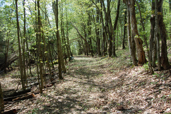 Missisquoi Nord – Backcountry pathways: Riverside Trail