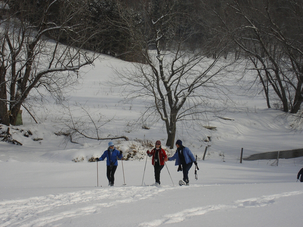 Missisquoi Nord – Backcountry pathways: Town & Mountain Trail