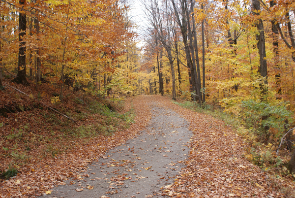 Missisquoi Nord – Backcountry pathways: Town & Mountain Trail