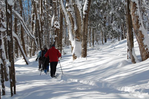 Missisquoi Nord – Backcountry pathways: Old orchard trail