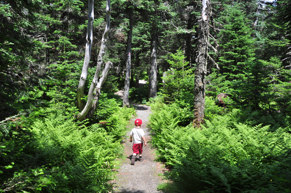 Promenade Boréale © S Giguère: Parc national du Mont-Mégantic