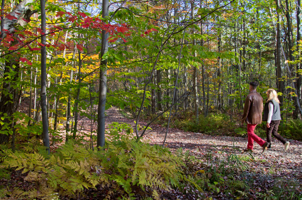 Parc du Mont-Bellevue: Sherbrooke - Urban walks