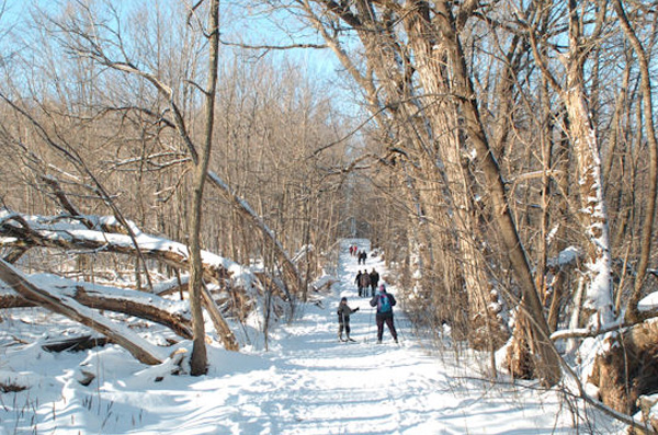 Parc du Bois-Beckett: Sherbrooke - Urban walks