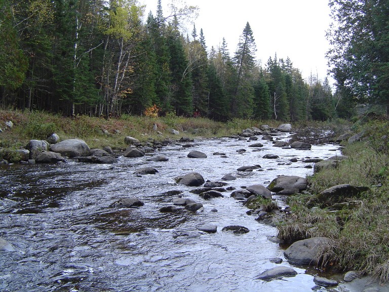 Sentier de la Rivière Felton: Sentier de la Rivière Felton