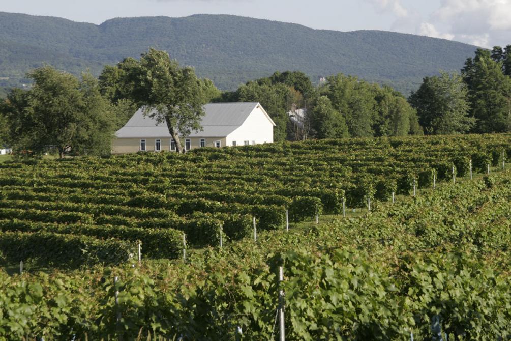 Vignoble Domaine Bresee: Sutton