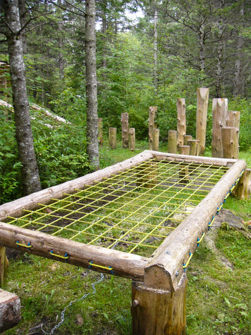 Hebertism forest: Children will have fun within our aerial obstacle courses!