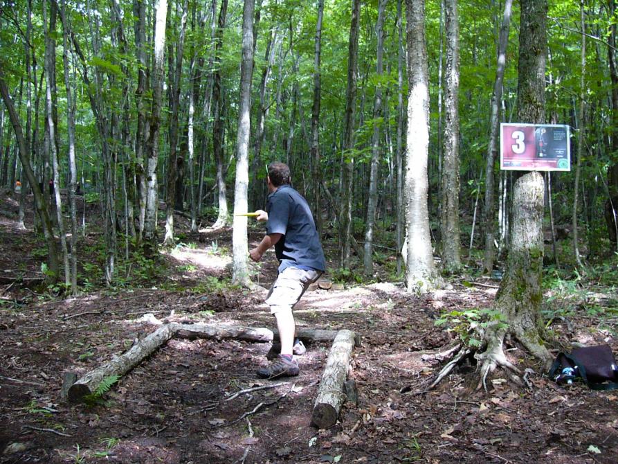 9 disc-golf baskets in the forest: