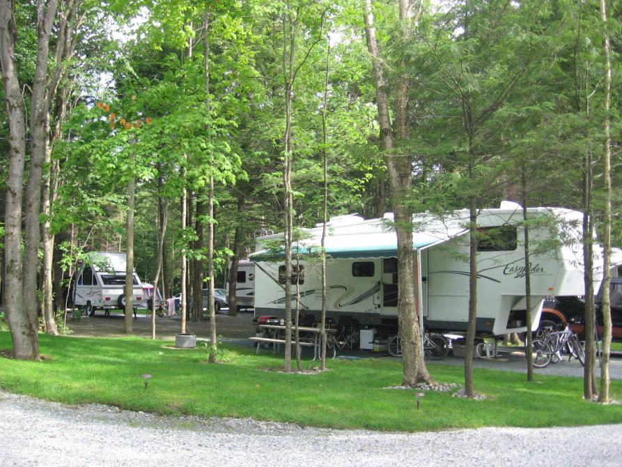 Camping Plage McKenzie: Racine