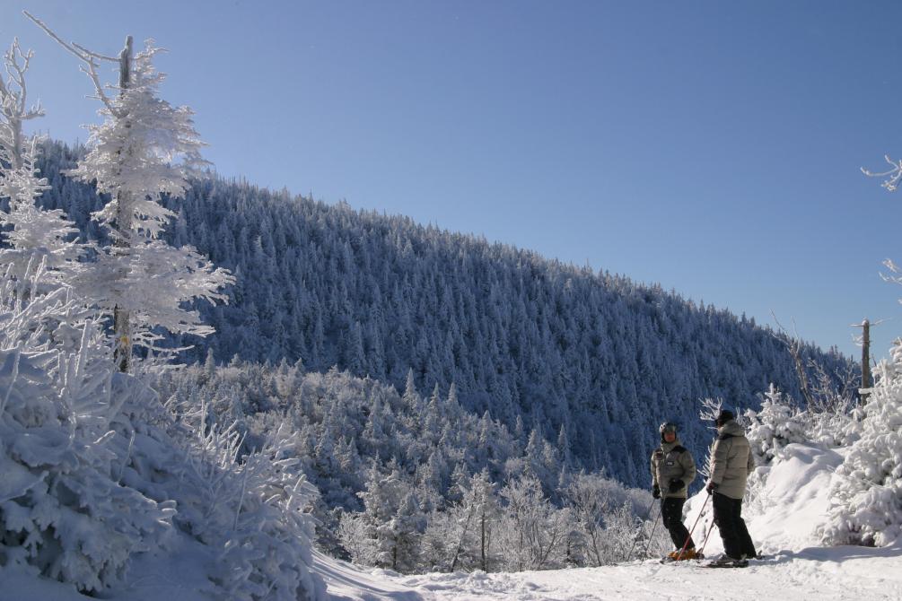 Mont Sutton: © Mont Sutton