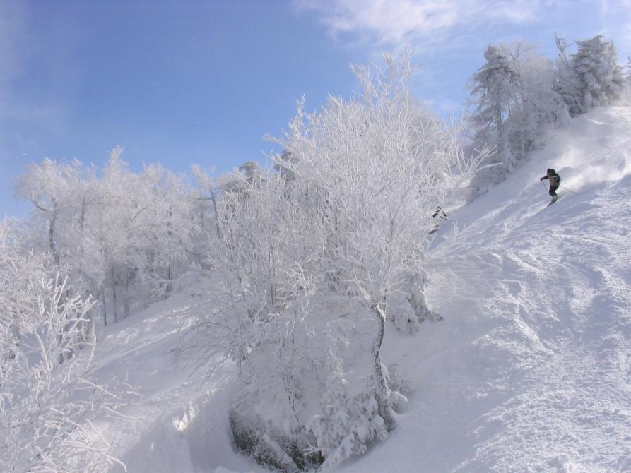 Mont Sutton: © Mont Sutton