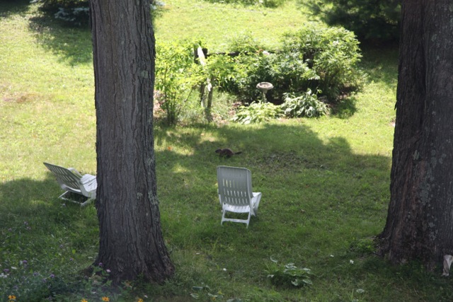 Le Passe-Partout: Cowansville