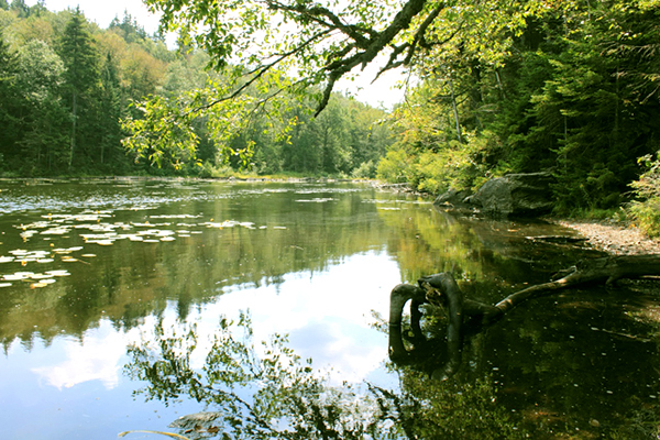 Lac Mohawk: Lac Mohawk à parc Sutton