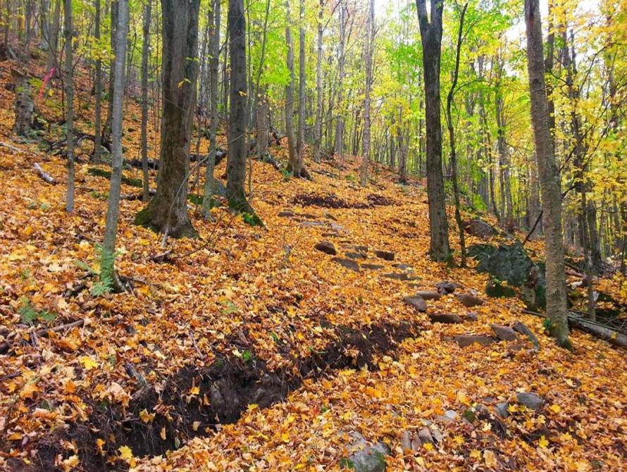 Sentier du Parc des Montagnards: Shefford