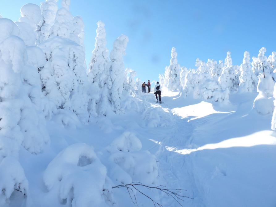 Mont-Hereford: Photo credit : Nancy Gagnon