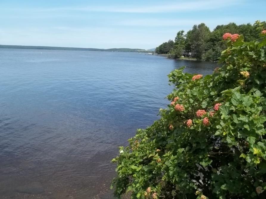 Parc du Grand Lac Saint-François: Lambton
