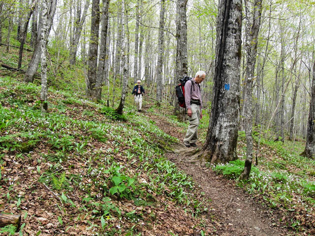 Sentiers frontaliers: Saint-Augustin-de-Woburn
