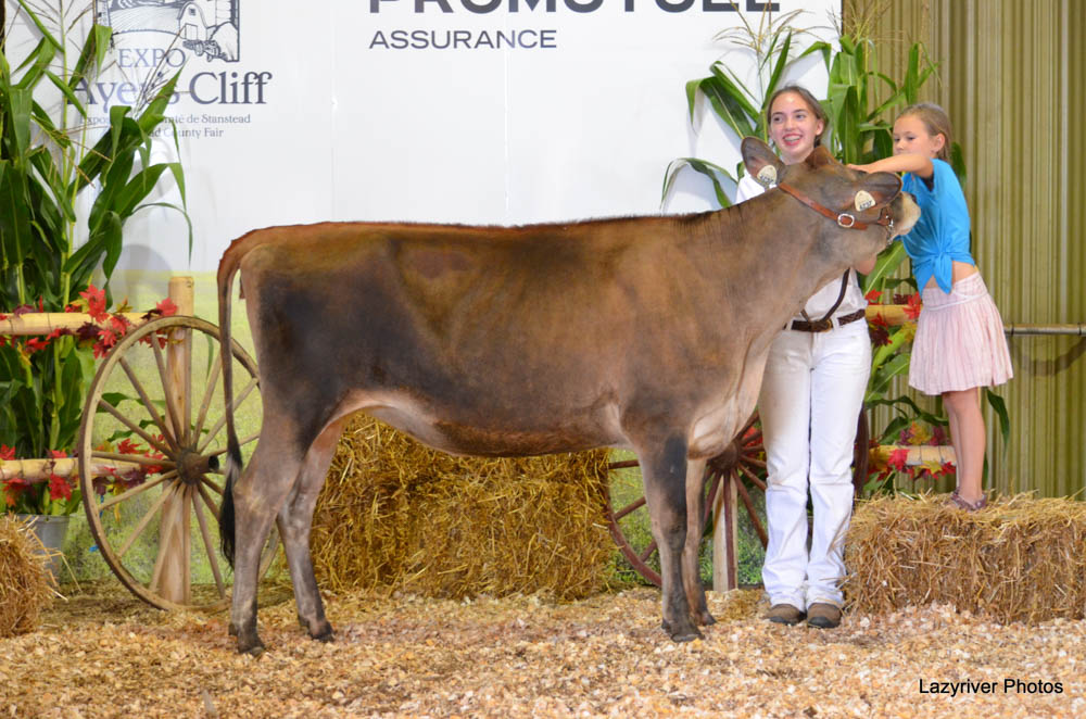 Ayer's Cliff Fair: Annual agricultural and horticultural fair