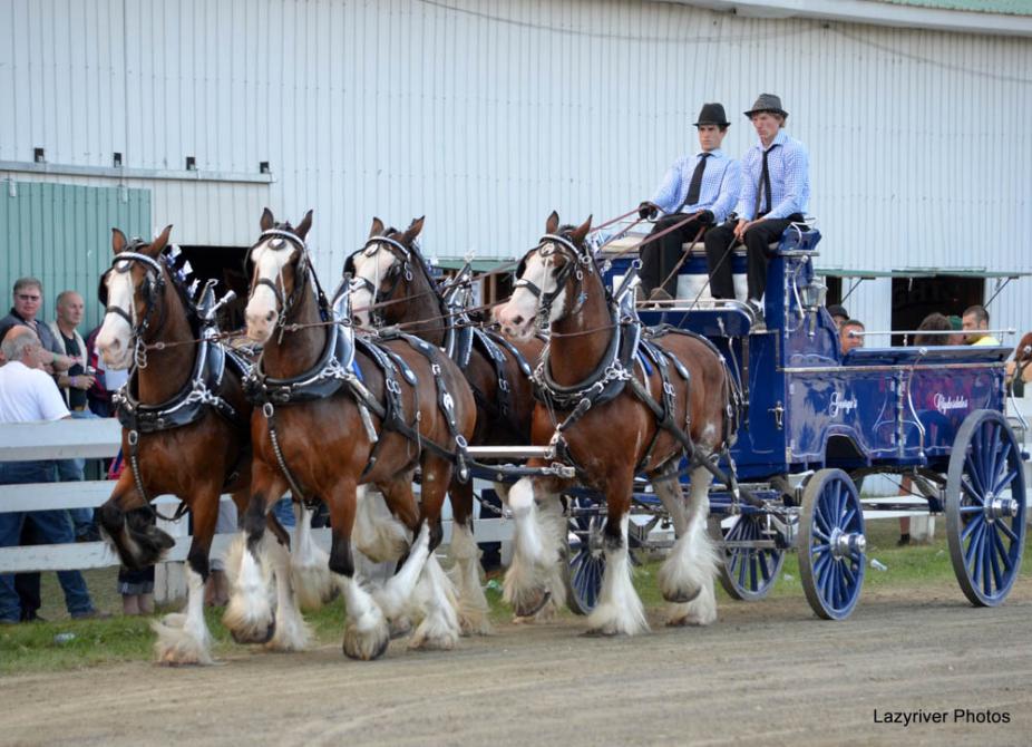 Ayer's Cliff Fair: Annual agricultural and horticultural fair