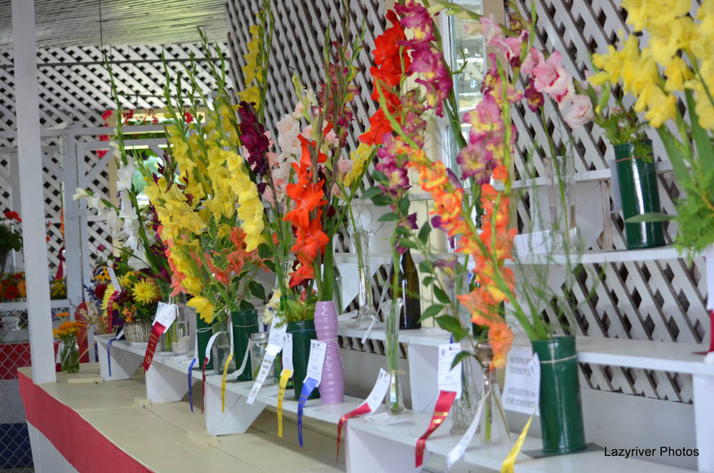 Ayer's Cliff Fair: Annual agricultural and horticultural fair