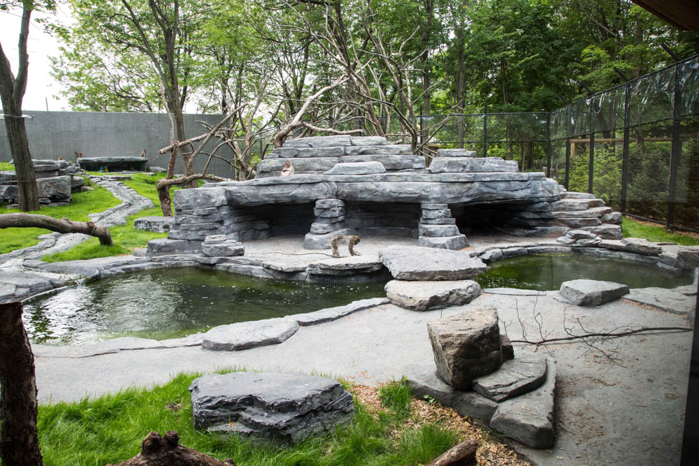 Zoo de Granby: Granby