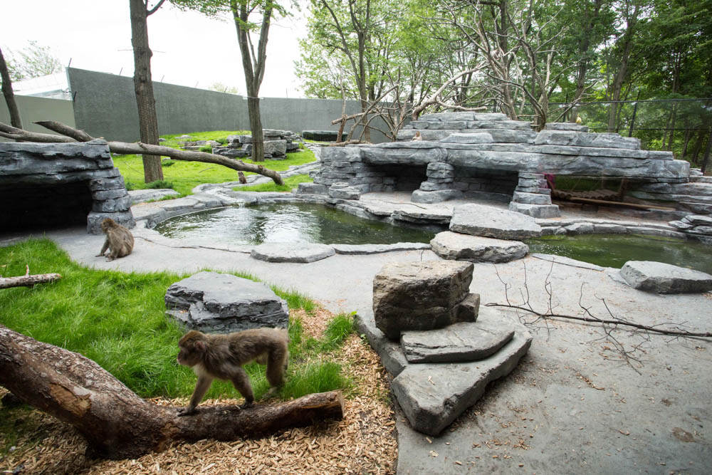 Zoo de Granby: Granby