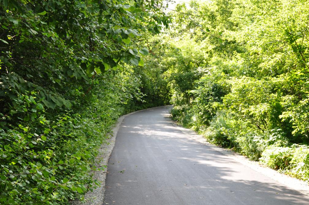 Cycling network, Axe du Ruisseau-Dormand: This 11 kilometres path, which ows its name to the Dorman brook, mainly goes through Sherbrooke’s east residential district. Meeting the Saint-François path at the Île-Marie, the Dorman path links many of Sherbrooke’s urban parks and ends at the Debonair Park, in the borough of Fleurimont.