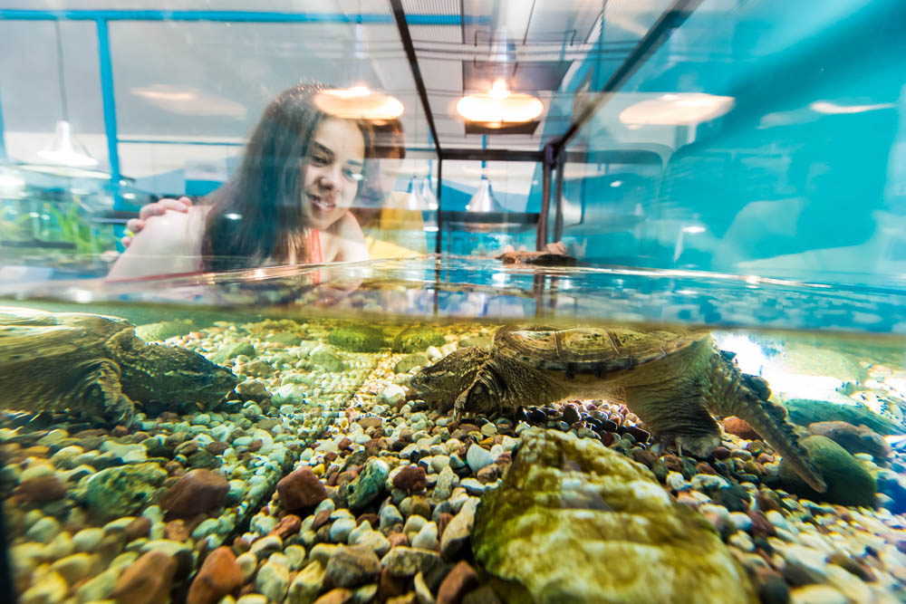 Maison de l'eau: Photo : Jocelyn Riendeau