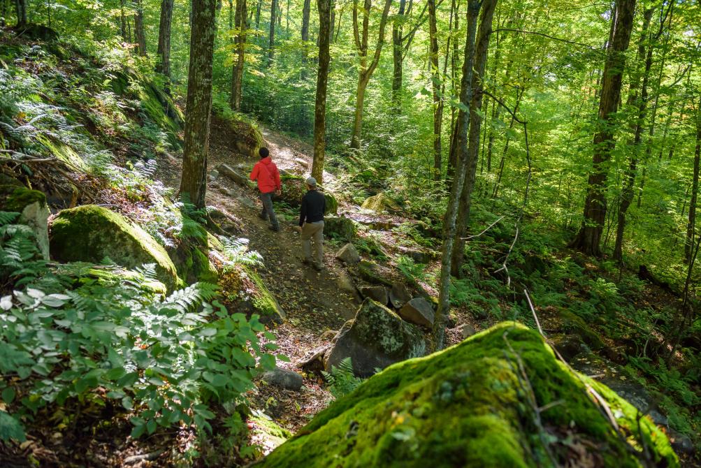 Parc national du Mont-Mégantic: Photo : Guillaume Poulin