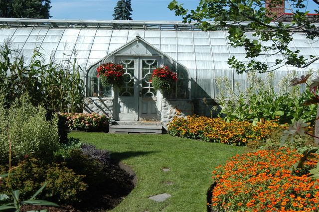 The Carl-Camirand Greenhouses Garden: Self-guided visits of the outdoor gardens available from May to October. The municipal greenhouses are accessible all the year round, Monday through Friday, from 8 a.m. to 3 p.m. A rarely blooming plant can still be found in Sherbrooke’s greenhouses, the queen-of-the-Night or epiphyllum oxypetalum, introduced to the greenhouses’ collection in the 1950s, during Senator Charles B. Howard’s time. A treat for connoisseurs! 